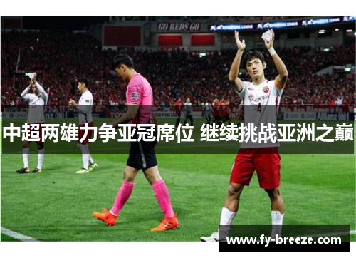 中超两雄力争亚冠席位 继续挑战亚洲之巅
