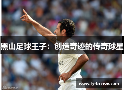 黑山足球王子：创造奇迹的传奇球星